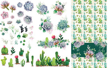 Load image into Gallery viewer, Transfer - Cacti &amp; Succulents
