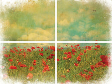 Load image into Gallery viewer, Transfer - Field of Flowers
