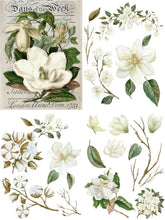 Load image into Gallery viewer, Transfer - Magnolia Garden
