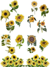 Load image into Gallery viewer, Transfer - Sunflowers
